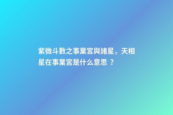 紫微斗數之事業宮與諸星，天相星在事業宮是什么意思？
